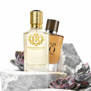 Giorgio Armani Acqua di Gio Absolu